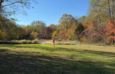 Fireflies and night skies! - Foto 4