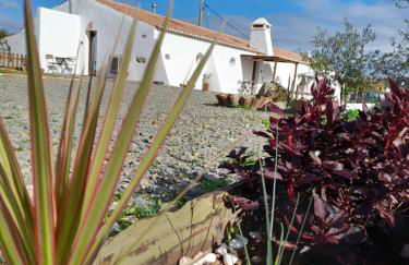 Natur Amêndoa - Foto 22