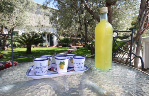 Tenuta Camporosso - Photo 14