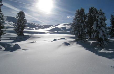 Apartments Dolomie - Foto 51