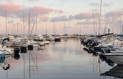 Top Floor Secret Garden, Cannes - Foto 19