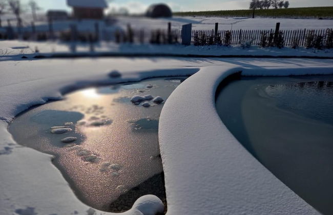 Schnatterhof - Photo 22