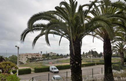 Algarve/Sra da Rocha - Foto 70