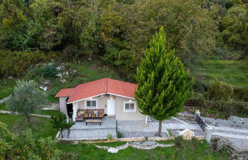 PLATS Traditional Living - Foto 9