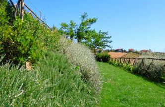 Terra di Ea - Foto 48