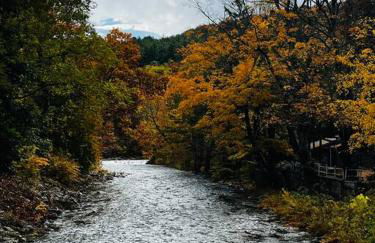 Catskills Quaint Cottage with Peloton Minutes from Hiking - Foto 17
