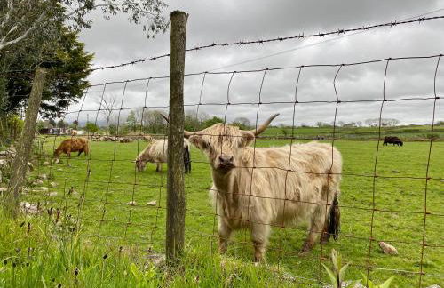 Hendy Cottage - Photo 18