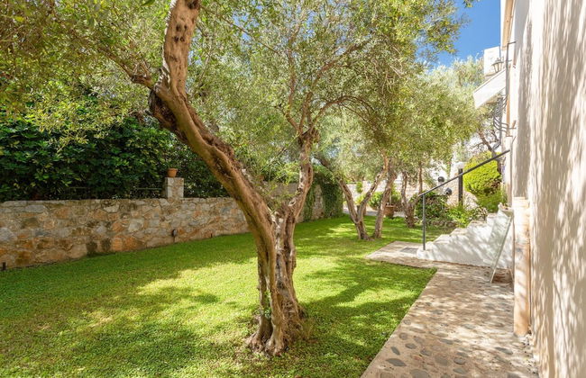 Villa Tzina Large Private Pool Walk to Beach A C Wifi Car Not Required - 1604 - Foto 36