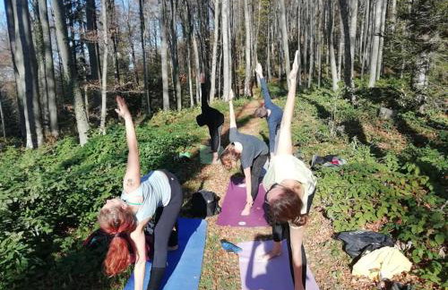 Holiday house Green hill in Zagorje - Foto 62