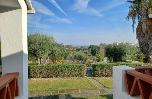 Casa das 3 Palmeiras - Foto 1