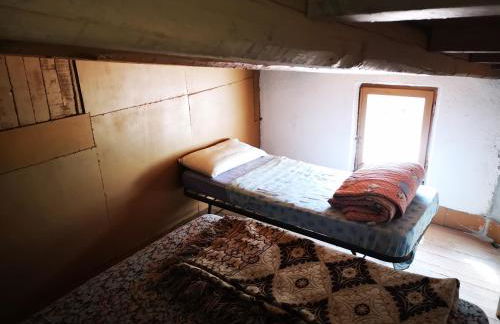 Pinnettu sardo casa di campagna in ecosistema insetti e animaletti simpatici in condivisione,Leggere attentamente Prima di prenotare - Foto 39