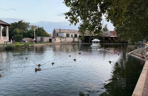 Apartman MIG - Foto 44