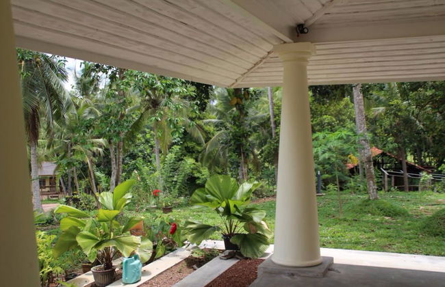 Cinnamon Trails - Foto 27