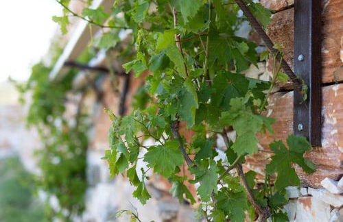 Akrotiri Estate Naxos - Private Hillside Estate - Foto 77