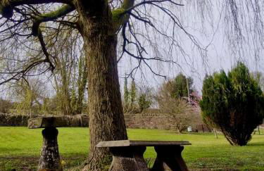 Flurry's Lodge - Foto 25