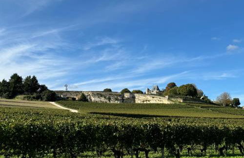 L'Escapade d'Émilion - Foto 46