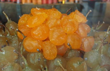 nid2nuit Nuance d'Ocres - Photo 24