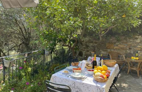 Apartment Casa dei Fiori by Interhome - Foto 14