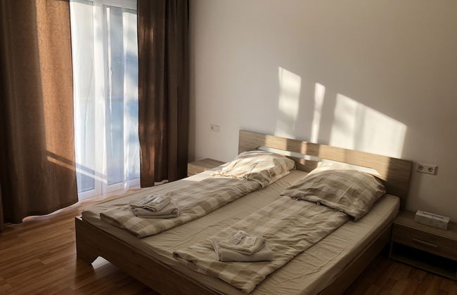 Sahara Falcon - Foto 15