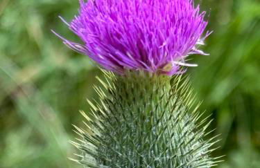 Ferienwohnung Schuhmacherwerkstatt Wilhelm Wendel - Photo 20