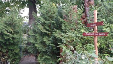 Bärenhöhle - Foto 3