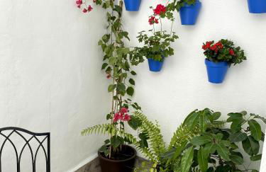 La Almunia de Córdoba, Centro Histórico - Foto 16