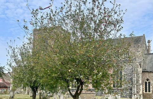 2 Bedroom Cottage in Debenham - The Old Toll House - Foto 31