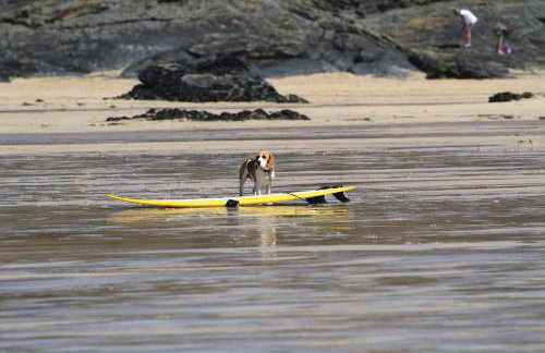 Macalby Cottage - Foto 26