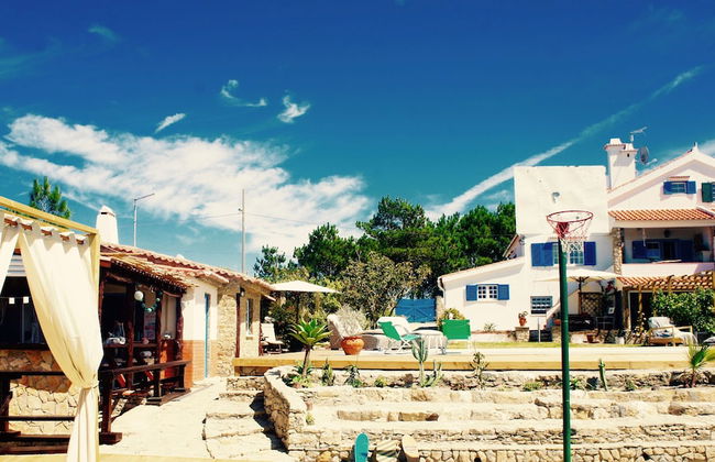 João Jungle - Foto 20