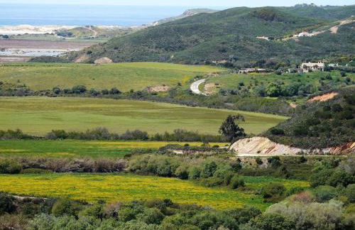 Monte D´Sancho - Foto 20