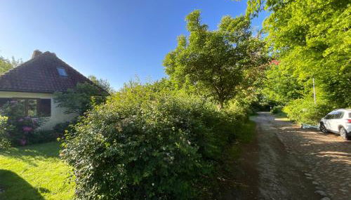 Ferienhaus Tätendorf für die ganze Familie - Foto 2