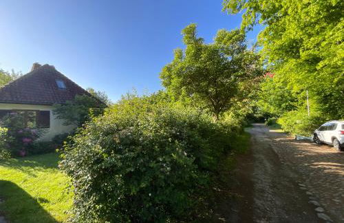 Ferienhaus Tätendorf für die ganze Familie - Foto 2