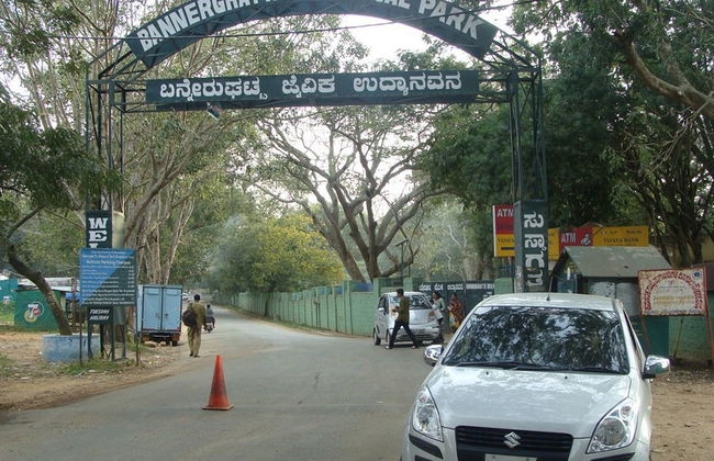 Parque Nacional Bannerghatta - Tour Privado - Foto 2