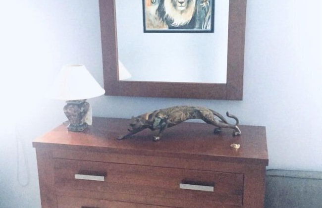 House Global 77 - Foto 5