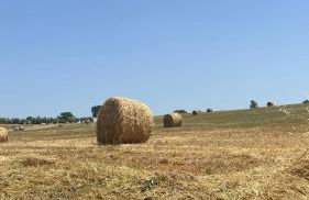 Agriturismo La Locandiera - Foto 43