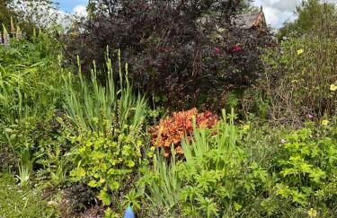 The Wee Hoose - Foto 12