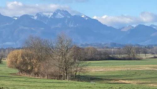 Ferienwohnung beim Binder - Photo 5