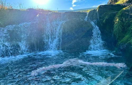 Greenways at Coed Cae Farm - Photo 61