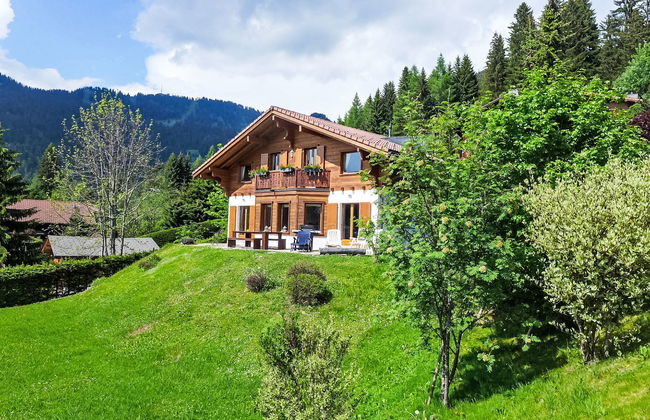 Chalet Petit Pont - Photo 40