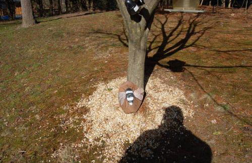 Welcome to our Retreat Haven in Warwick, NY - Foto 5