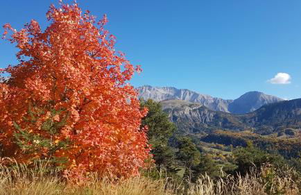 La Provence vous Attend***!!! - 1er étage - Foto 37