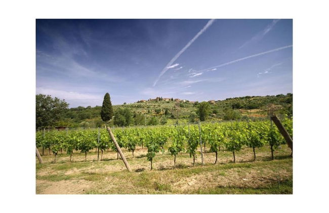 Golden Days in San Donato Home - Foto 25