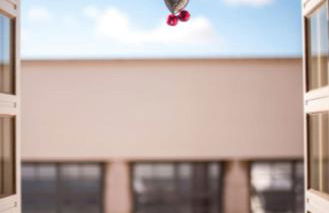 The Black Kitten II - Foto 18