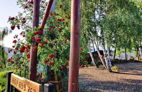 Agroturystyka Faron - Foto 32