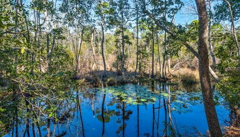 Old Seagrove Next to Seaside- Quiet Area & Vintage Charm, Backs to Canal - Foto 3