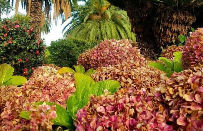 Finca La Principal - Foto 36