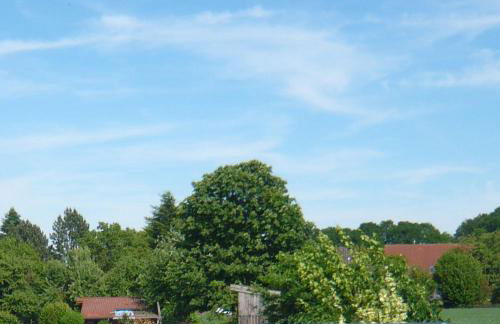 Gästewohnung am Grinderwald - Foto 10