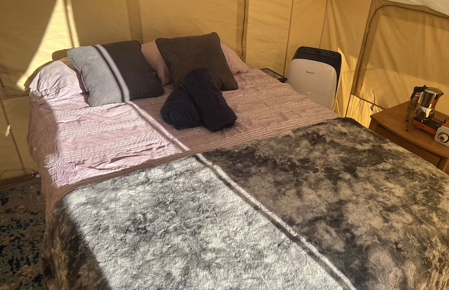 Ecovino Valle de Guadalupe - Foto 30