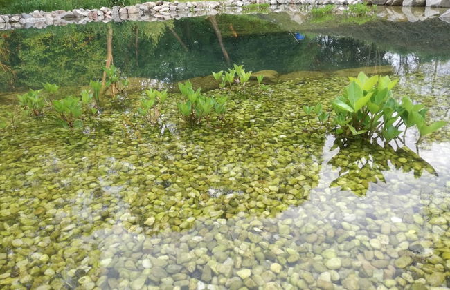 Lesany Sljk425 in Le any - Foto 48