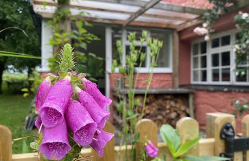 Brynarth Country Cottages - Foto 77